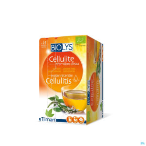 BIOLYS THE VERT/ORTHOSIPHON BIO 24 SACH