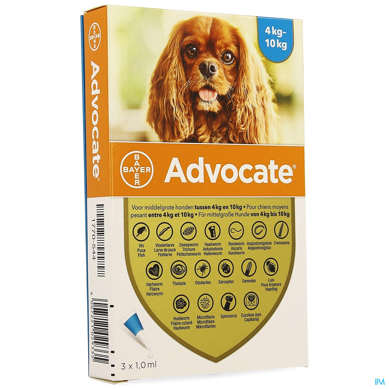 ADVOCATE SPOT ON CHIEN KG 3*1 ML – Pharmacie