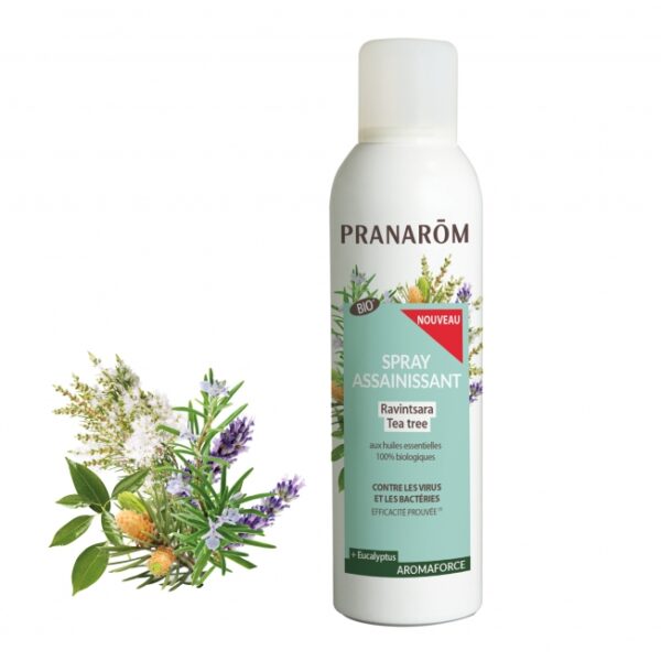 PRANAROM SPR ASSAIN RAVINTSARA TEE 150ML