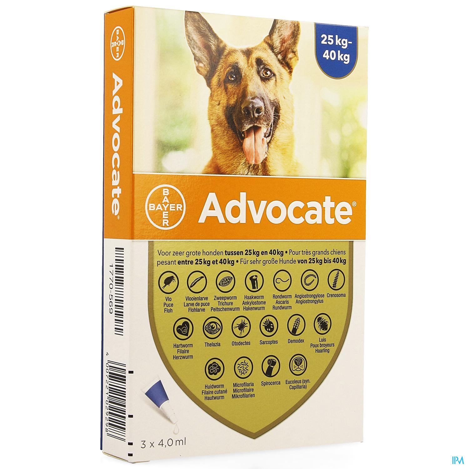 nyse Pløje Fjendtlig ADVOCATE SPOT ON CHIEN 25-40 KG 3*4 ML – Pharmacie Online