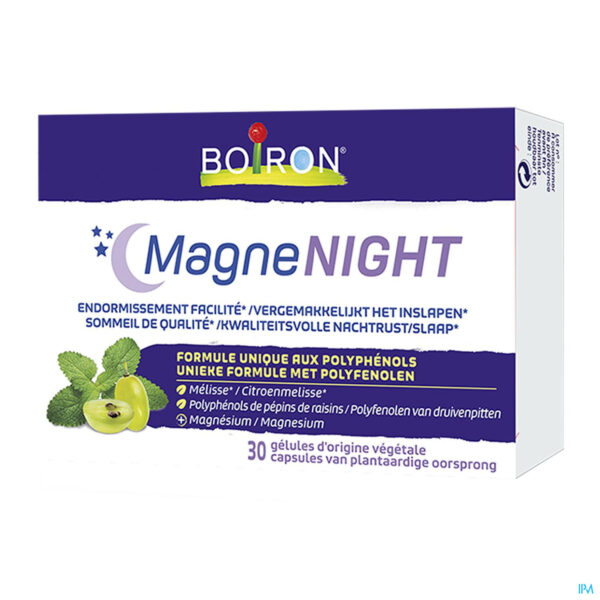 MAGNENIGHT 30 CAPS BOIRON