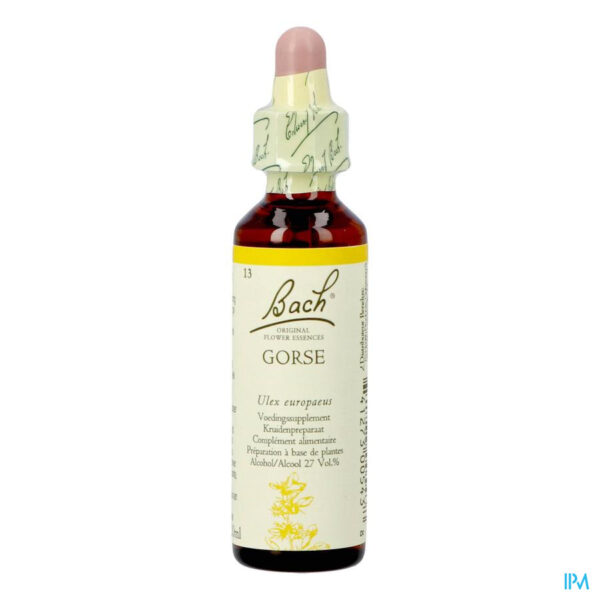 BACH ORIGINAL GORSE 20 ML           NR13