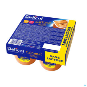 DELICAL CREME SANS LACTOSE CARAMEL4*125G