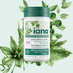 IANA SANTE ATICULAIRE HUMEUR POSITIVE 60 COMP