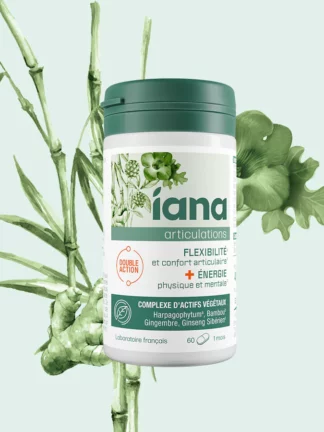 IANA FLEXIBILITE ENERGIE 60 COMP