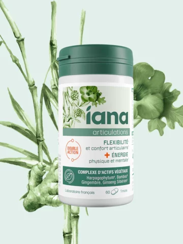 IANA FLEXIBILITE ENERGIE 60 COMP