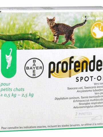 PROFENDER SPOT ON PETIT CHAT 2 PIP VET