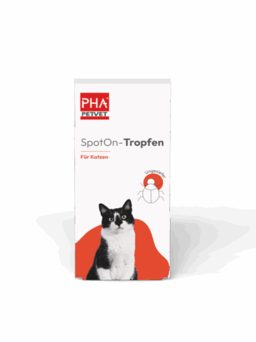 PHA SPOT-ON TROPFEN KATZEN 2*1,5 ML VET