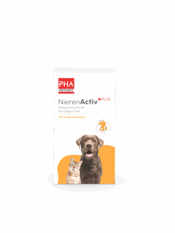 PHA NIERENACTIV PLUS HU/KAT 60G VET