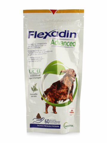 FLEXADIN ADV BOSWELLIA CHIEN 60CHEW VET