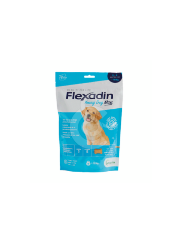 FLEXADIN YOUNG DOG MAXI 60 CHEWS VET