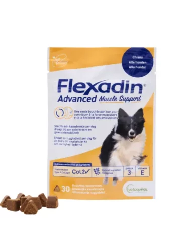 FLEXADIN ADVANCED MUSCLE VET